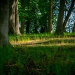 Matys Landhausperle An Der Mueritz