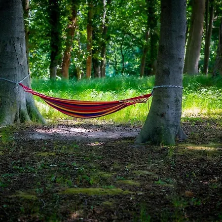 Matys Landhausperle An Der Mueritz Gæstehus