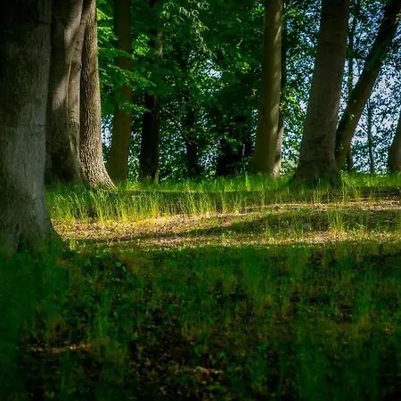 Matys Landhausperle An Der Müritz