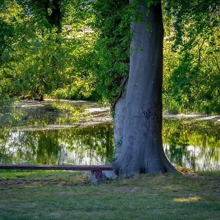 Matys Landhausperle An Der Mueritz 4* Röbel