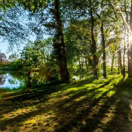 Matys Landhausperle An Der Mueritz Gæstehus