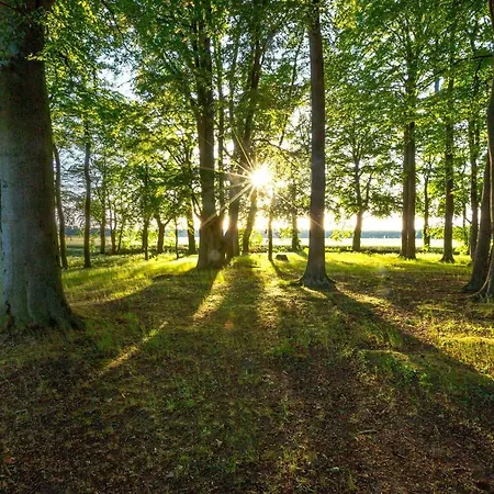 Vendégház Matys Landhausperle An Der Mueritz Röbel