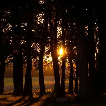 Vendégház Matys Landhausperle An Der Mueritz Röbel